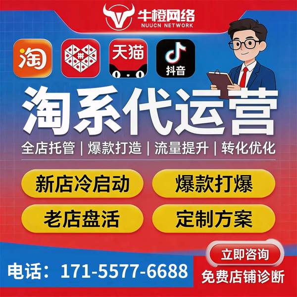 淮北电商代运营