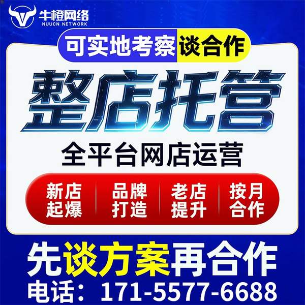 淮北电商代运营