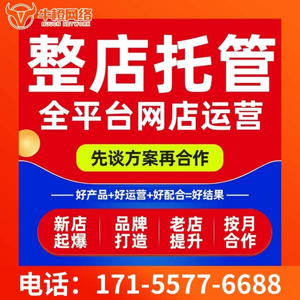 淮北电商代运营