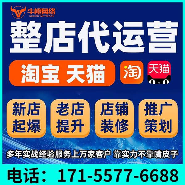 淮北电商代运营