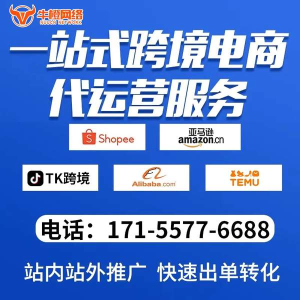 淮北电商代运营