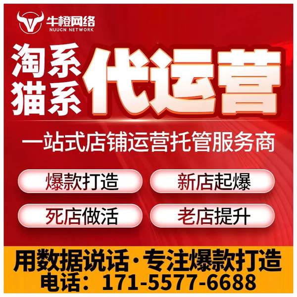 淮北电商代运营